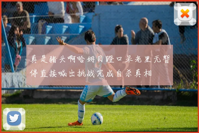 真是猪头啊哈姆目瞪口呆老里无暂停直接喊出挑战完成自杀真相